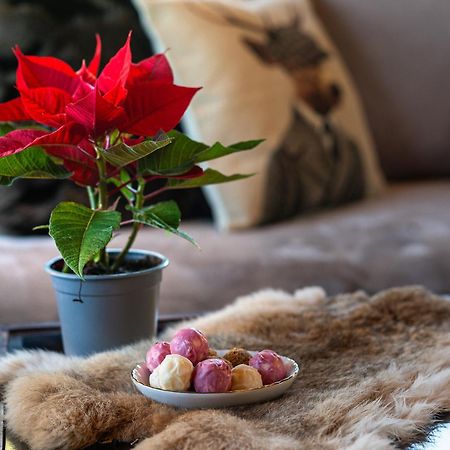 Livadi Cozy Villa Арахова Экстерьер фото